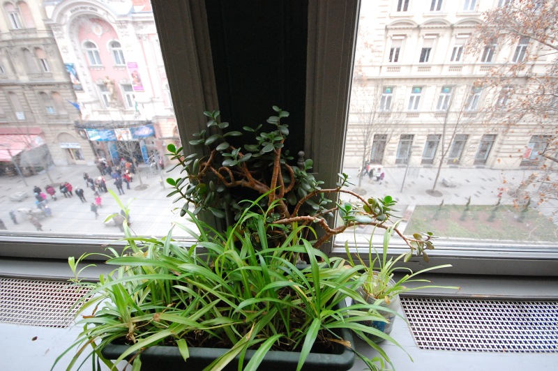 DSC_10252013-01-06_12-24-47_k