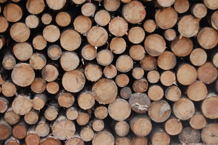 DSC_55692010-04-04_10-41-55_