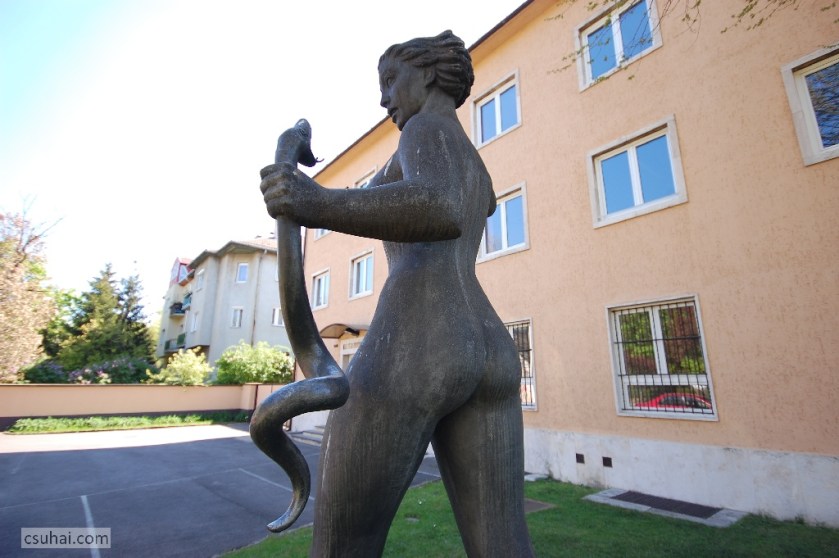 DSC_21162011-04-20_14-33-46