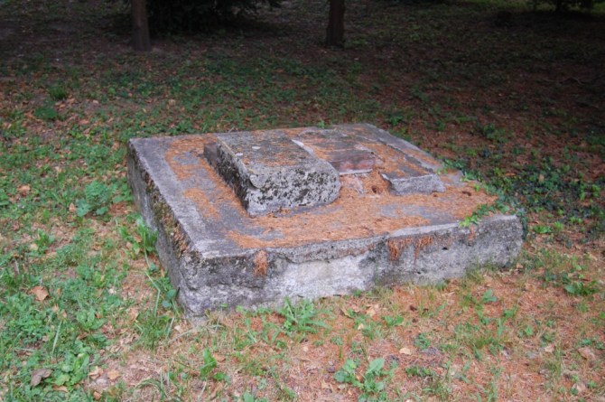 DSC_40082010-07-24_18-00-30