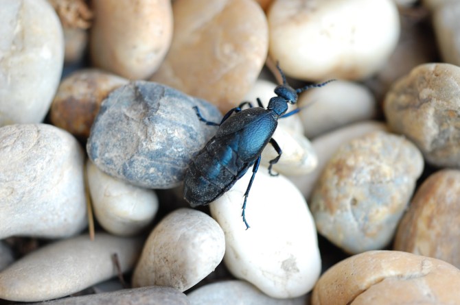 DSC_31002011-04-22_18-17-23