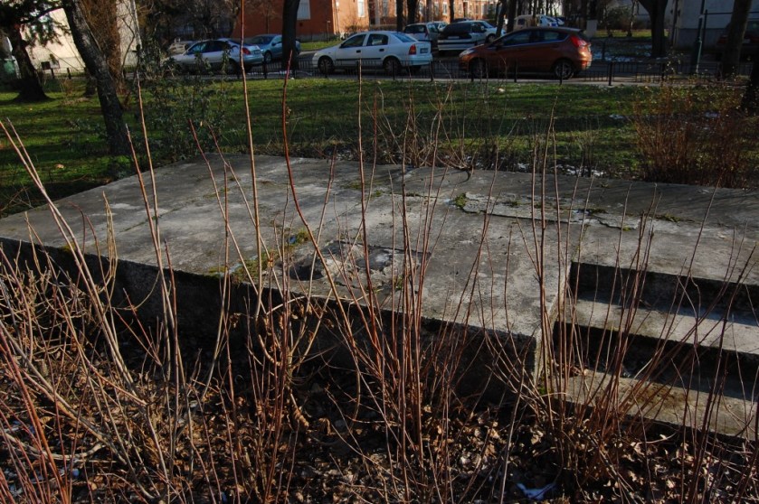 DSC_37772014-02-05_13-15-58