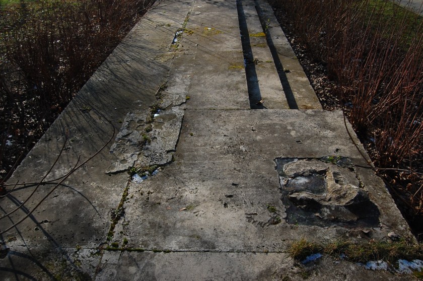 DSC_37792014-02-05_13-16-18