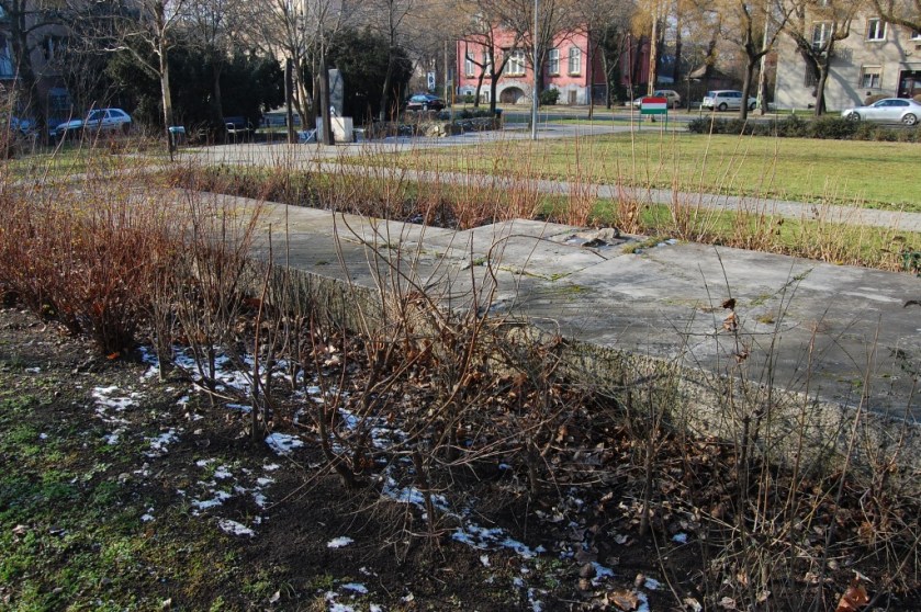 DSC_37812014-02-05_13-16-53