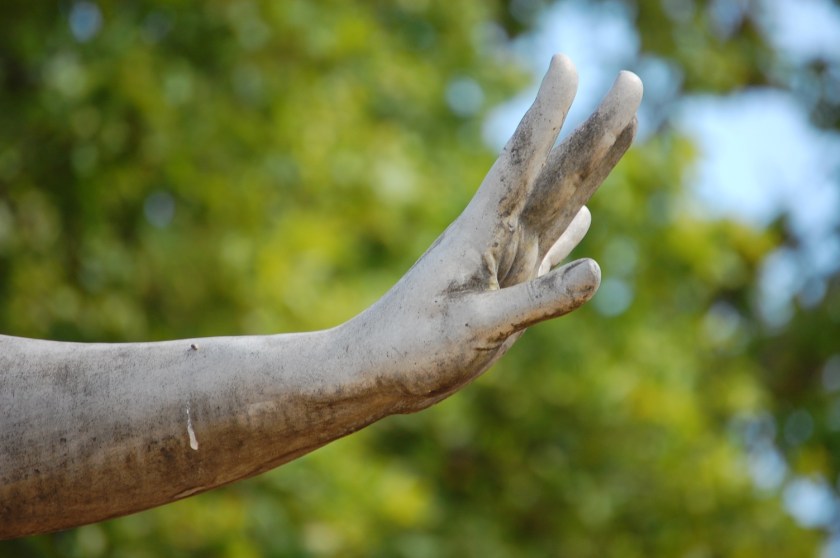 aam_DSC_95052013-08-15_11-02-45