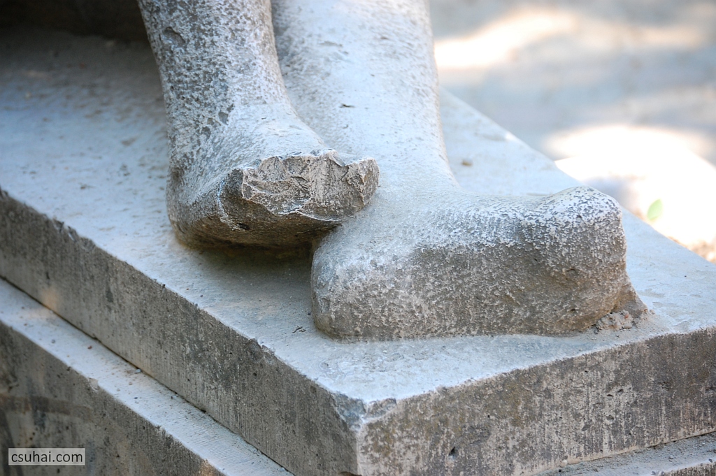 DSC_09762014-05-21_10-56-24