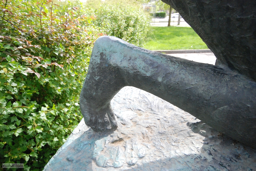 DSC_36162021-05-01_15-33-10