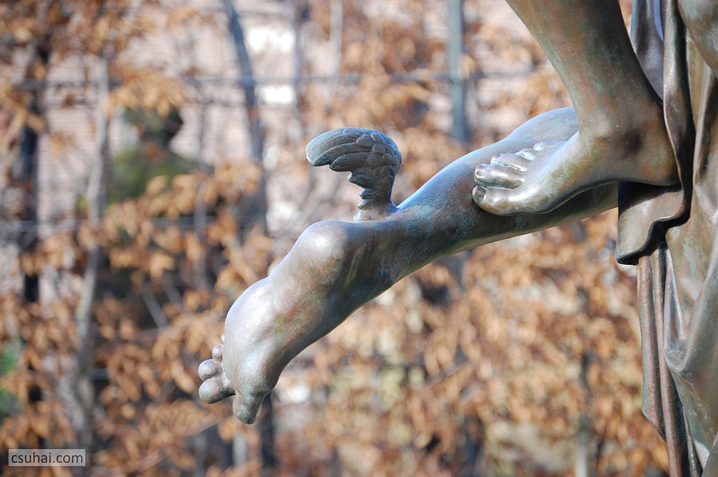 DSC_47632015-01-16_13-37-02