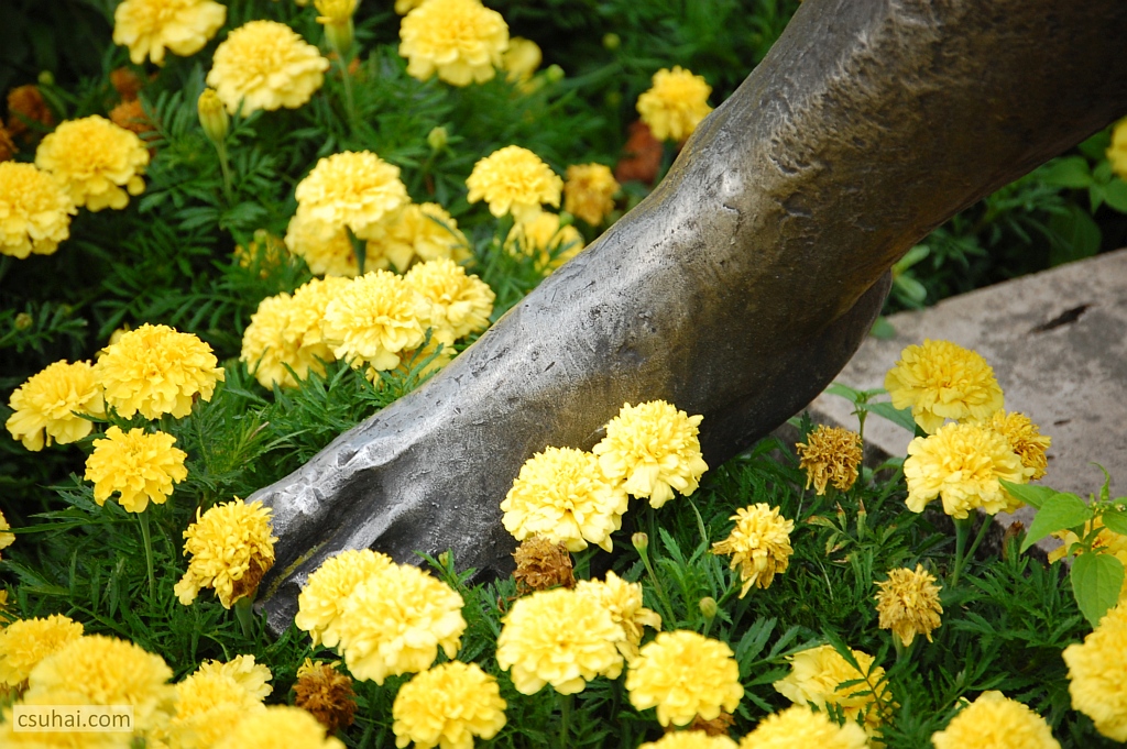 DSC_62862014-07-18_17-50-52