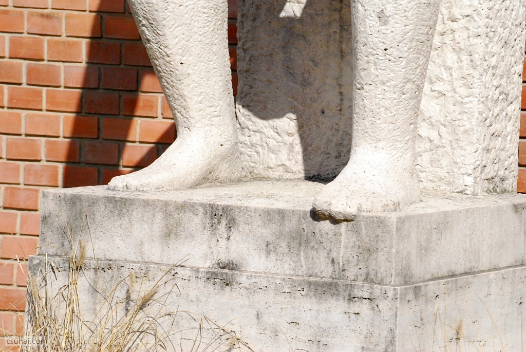 DSC_71122018-03-13_13-31-46