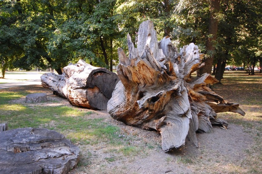 DSC_81272013-08-02_17-08-03