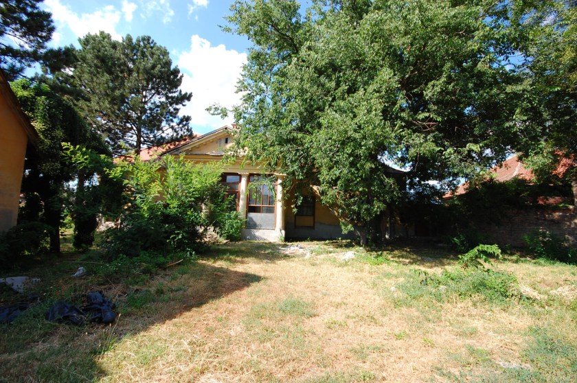 DSC_84512013-08-03_15-49-41