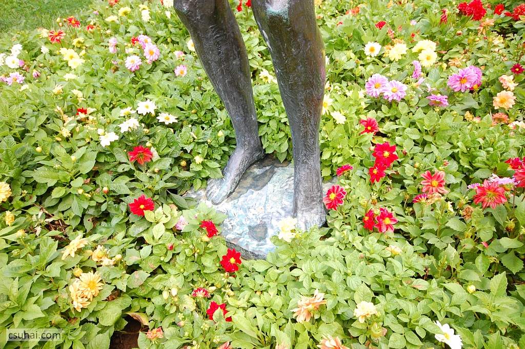 DSC_96162014-08-11_13-37-58