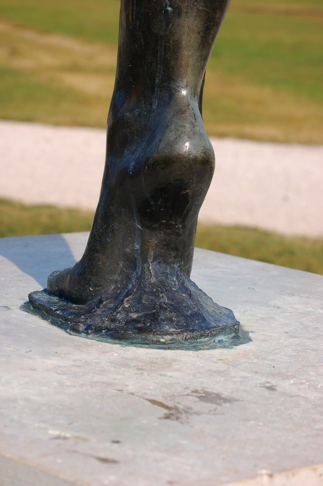 ccl_DSC_71372013-07-19_08-15-26