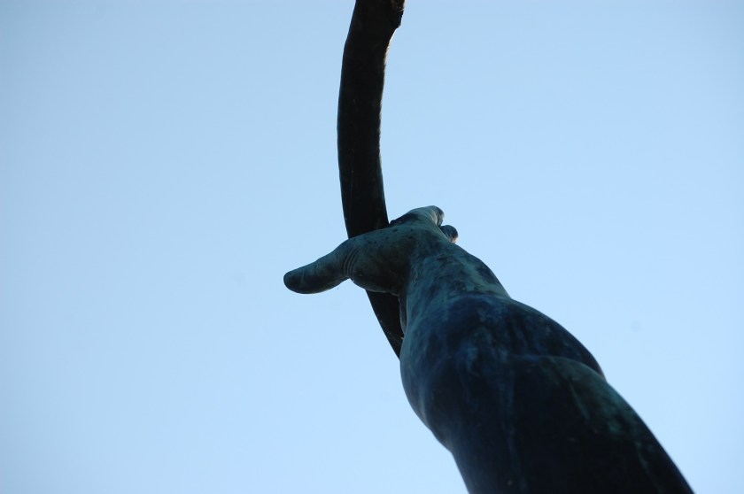 ccl_DSC_71442013-07-19_08-16-16