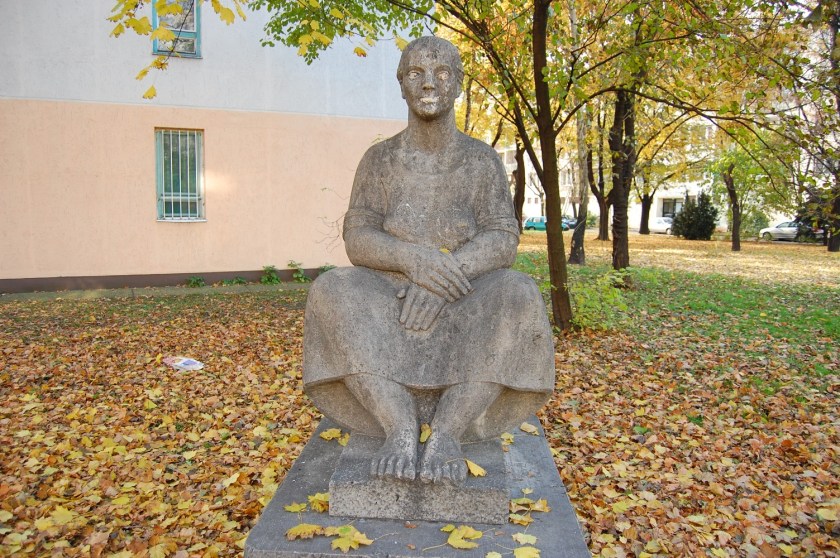 099_DSC_80622010-11-03_13-31-36