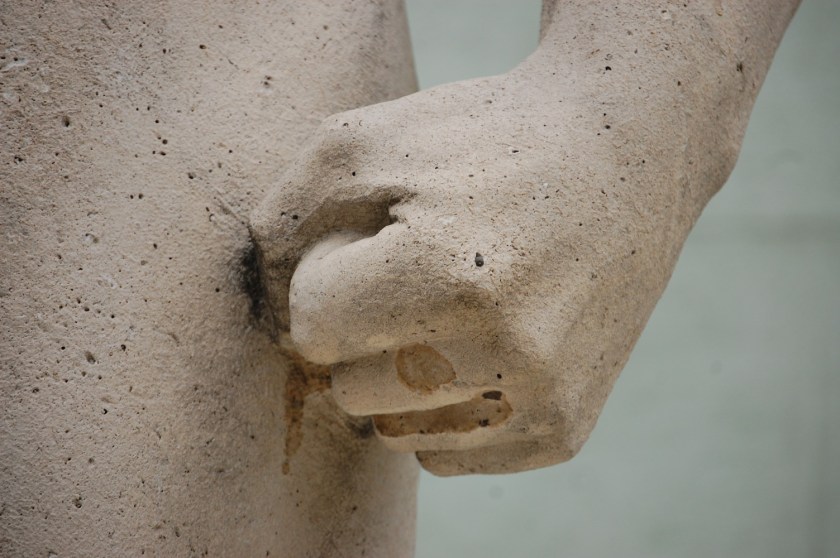 DSC_23562013-12-04_11-48-51