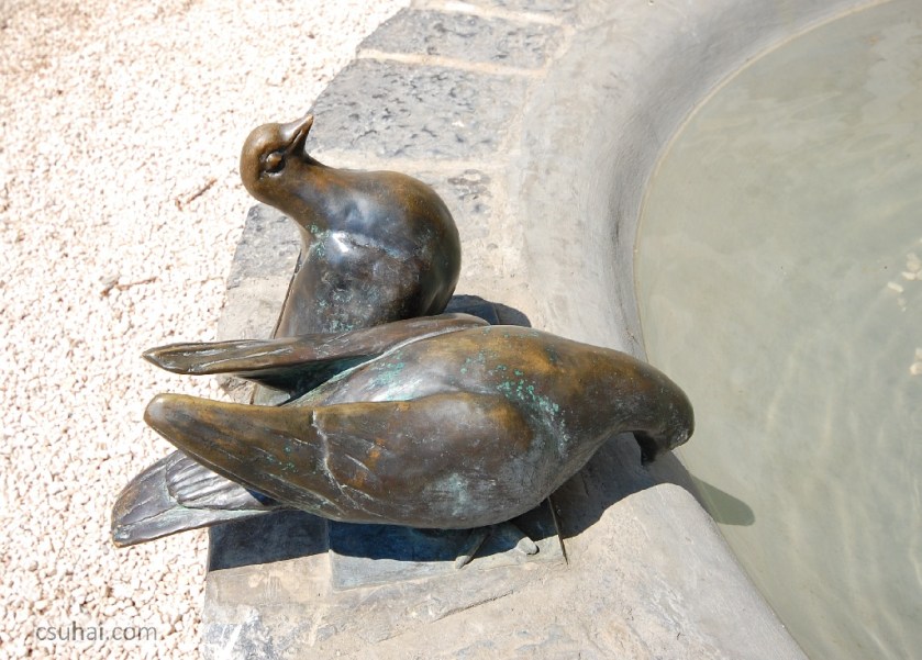 DSC_66572011-07-10_12-04-49