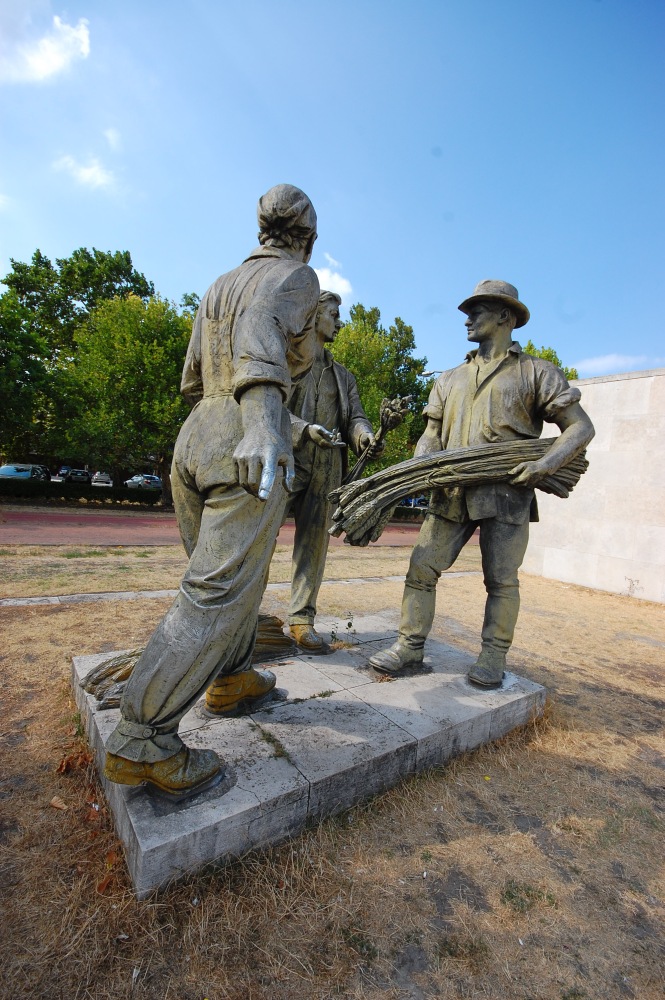 DSC_93512013-08-15_10-47-12