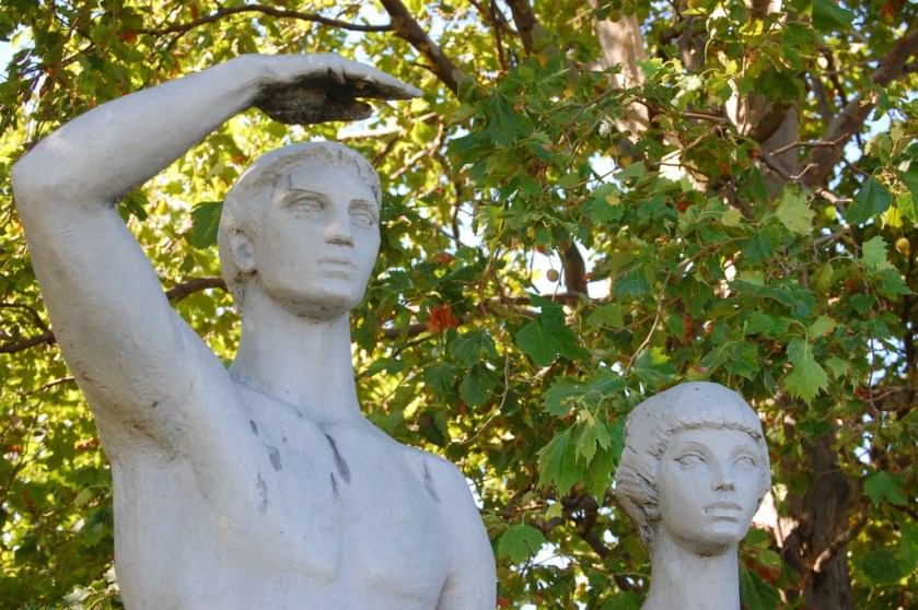 DSC_72812013-07-21_09-42-29