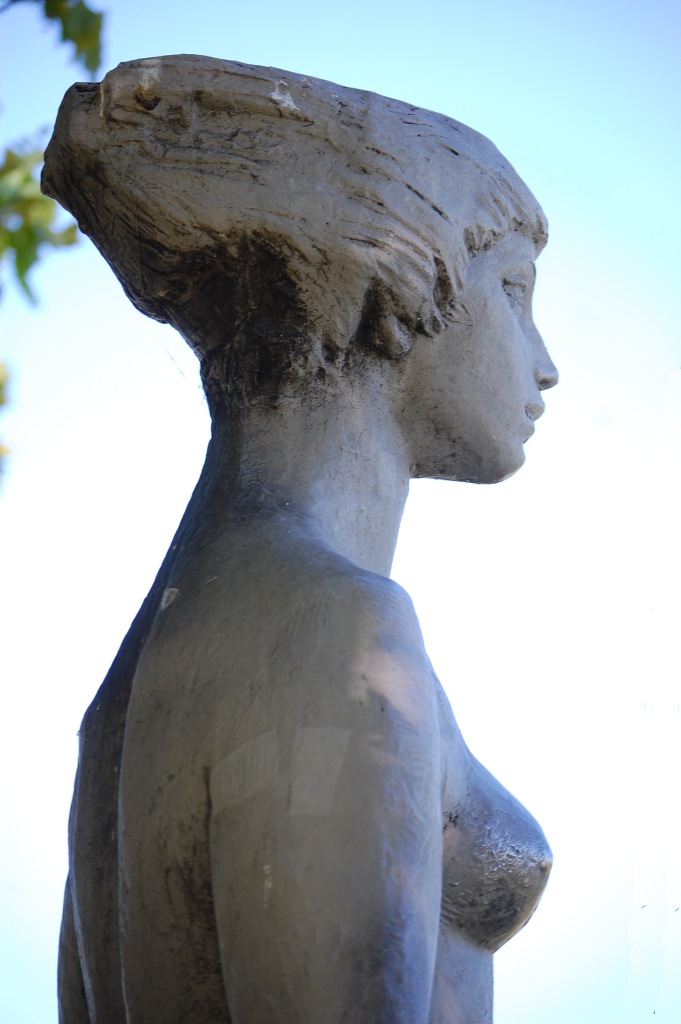 DSC_73032013-07-21_09-44-29