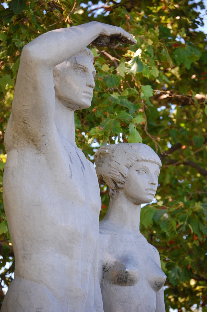 DSC_73082013-07-21_09-45-02