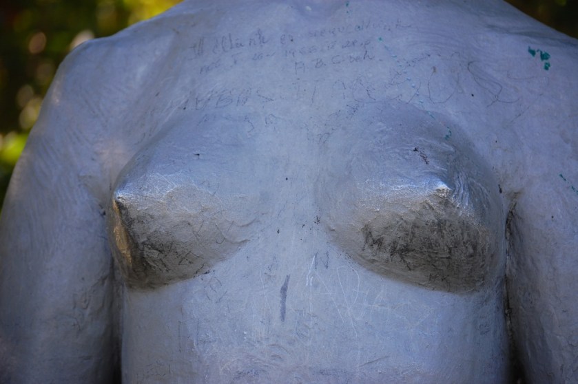 DSC_73122013-07-21_09-45-27