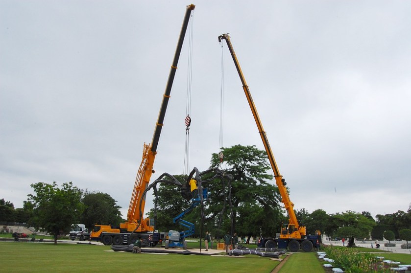 DSC_66772008-06-12_10-59-31