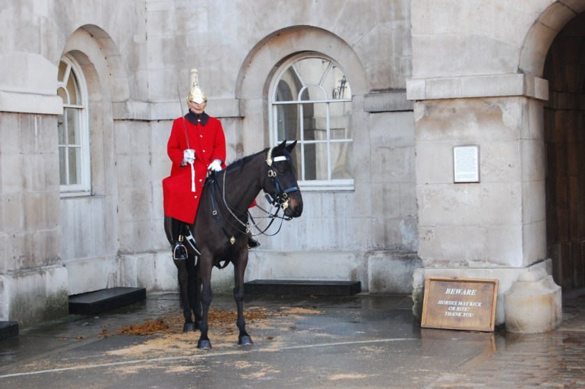 DSC_92262009-02-04_14-25-03