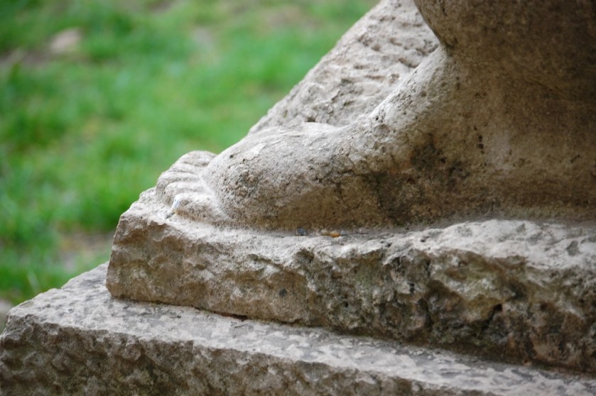 18_DSC_53352014-02-28_10-59-49