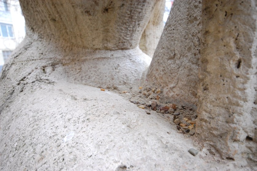 23_DSC_53712014-02-28_11-03-49