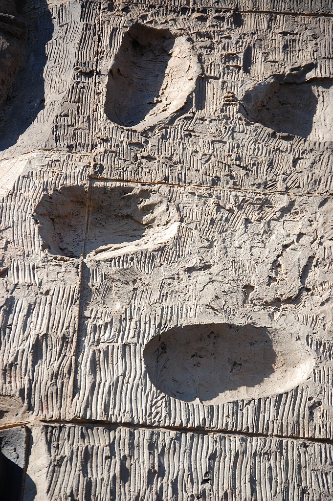 DSC_63372014-03-11_12-25-49