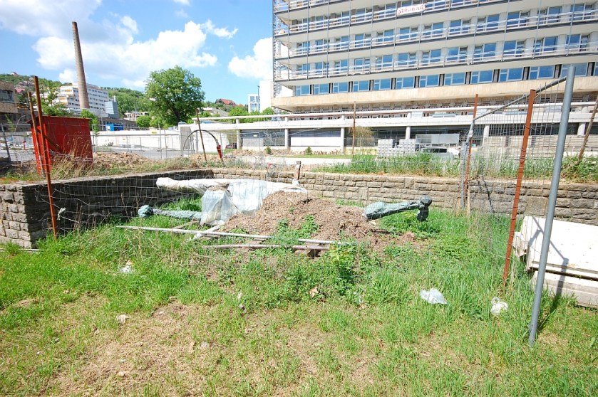 DSC_96572014-04-21_13-19-49