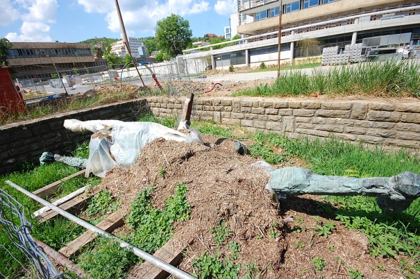 DSC_96652014-04-21_13-20-19