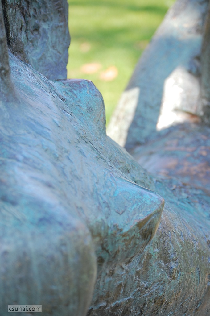 384_DSC_69382014-03-14_13-03-57