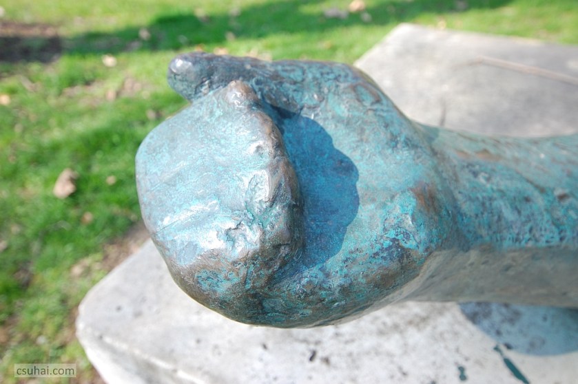 430_DSC_66572014-03-14_10-53-50