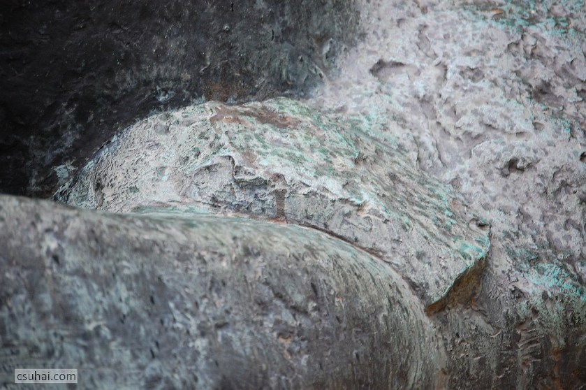 DSC_88412014-04-19_13-20-29