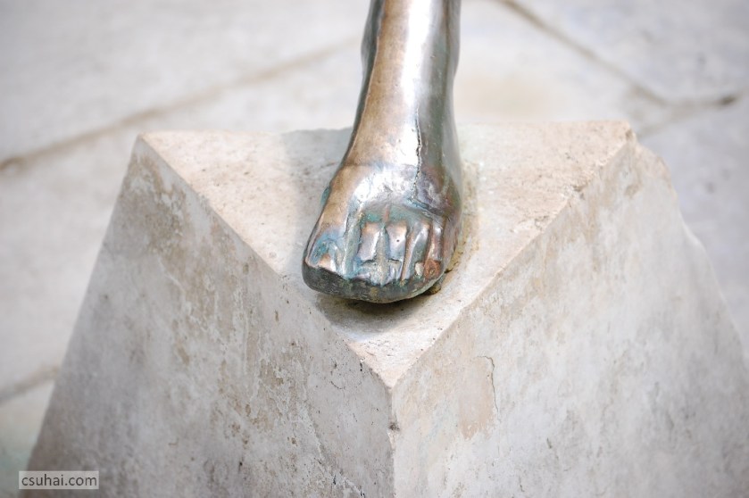 DSC_93012014-04-20_12-24-45