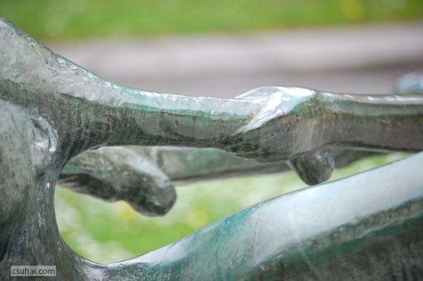 DSC_93092014-04-20_12-25-22