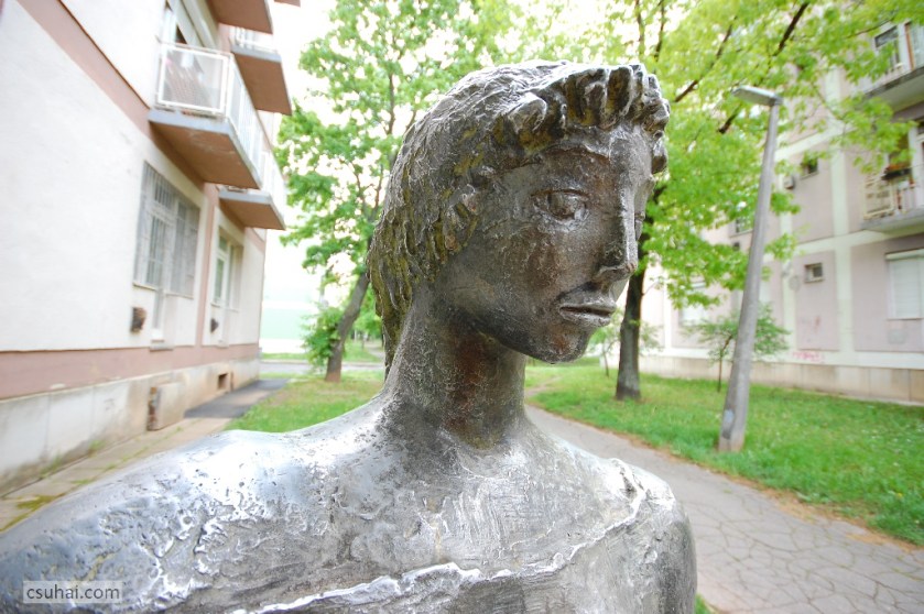 36_DSC_92512014-04-20_12-18-37