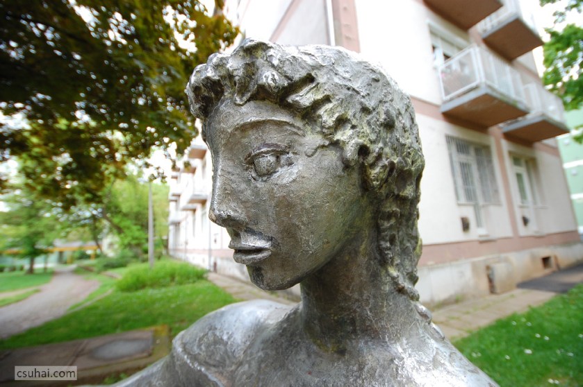 40_DSC_92502014-04-20_12-18-33