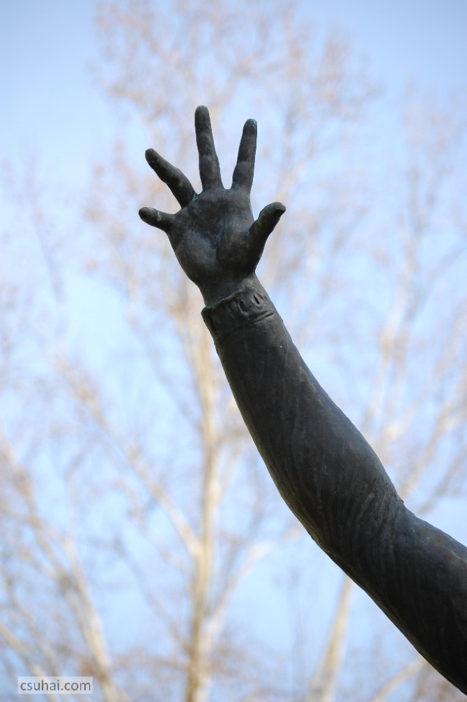 DSC_75442014-03-28_10-37-02