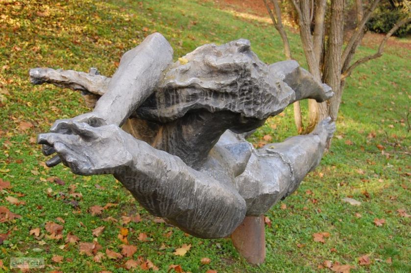 DSC_81962010-11-05_14-38-21