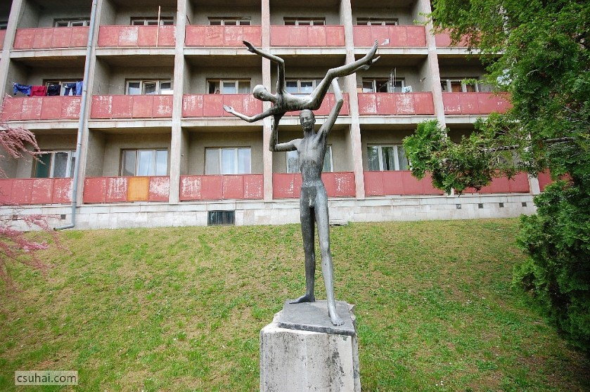 DSC_86282014-04-19_12-02-01