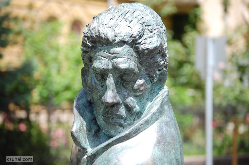 DSC_20042010-06-11_12-59-38