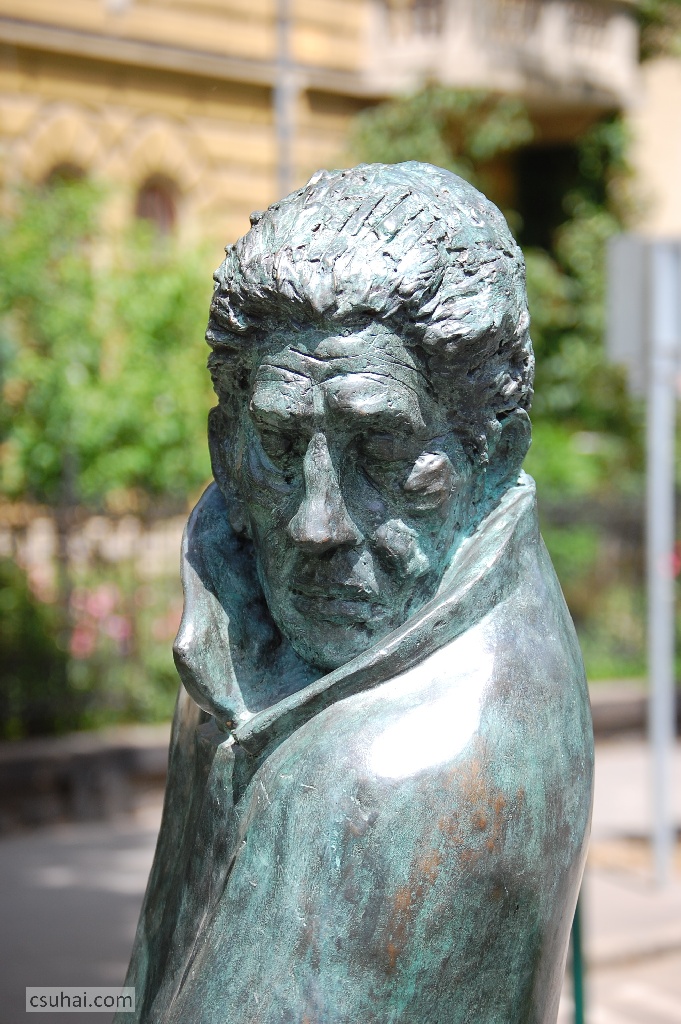 DSC_20052010-06-11_12-59-41