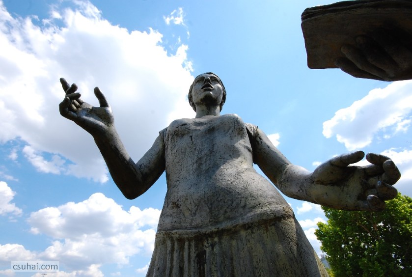 DSC_37842014-06-18_13-15-52