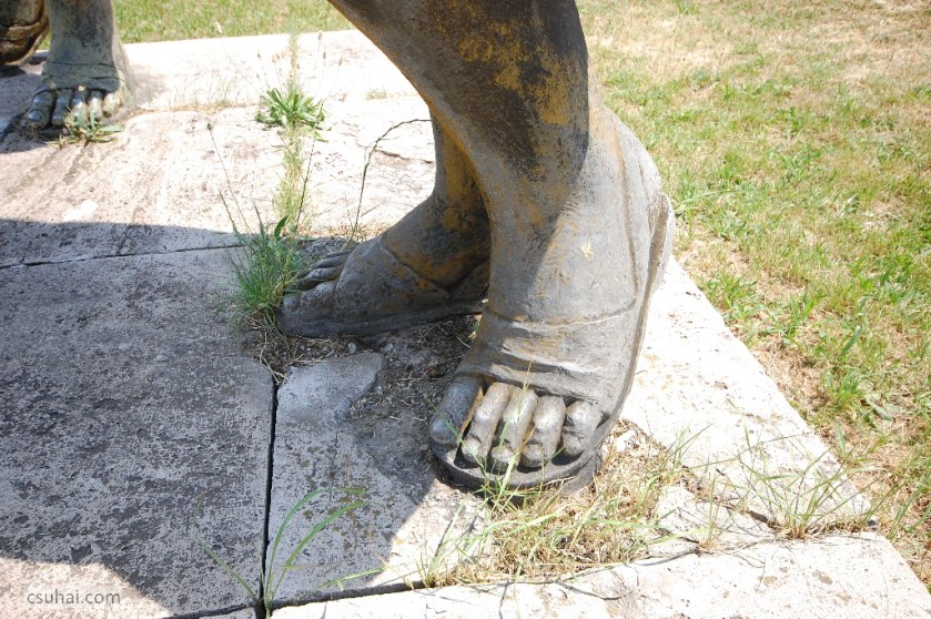 DSC_37992014-06-18_13-16-41