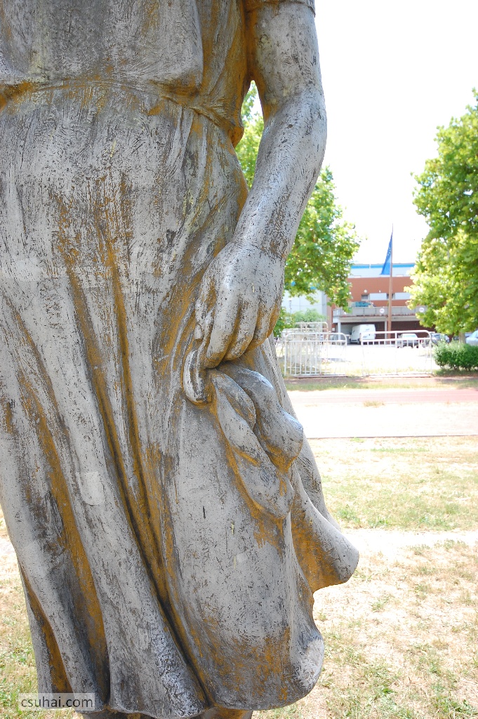 DSC_38032014-06-18_13-16-59