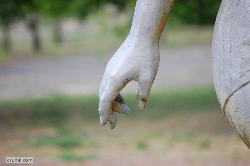 DSC_42892014-06-18_13-46-03